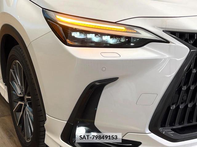 Lexus NX 2023-05 7869288-11
