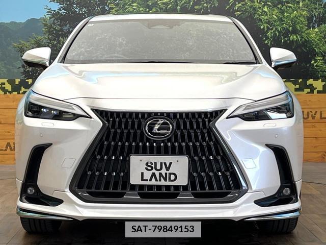 Lexus NX 2023-05 7869288-13