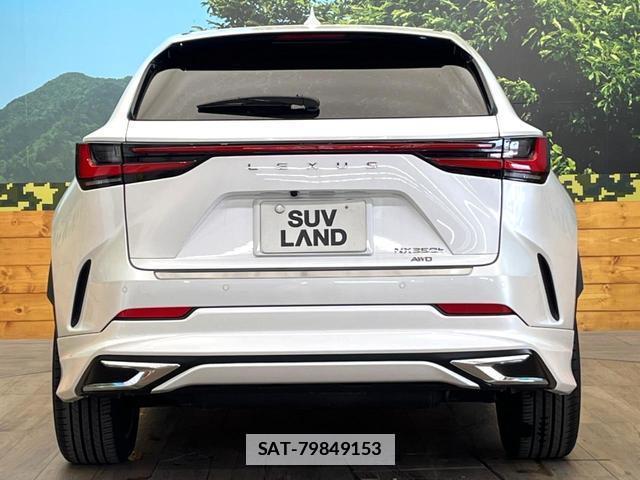 Lexus NX 2023-05 7869288-14