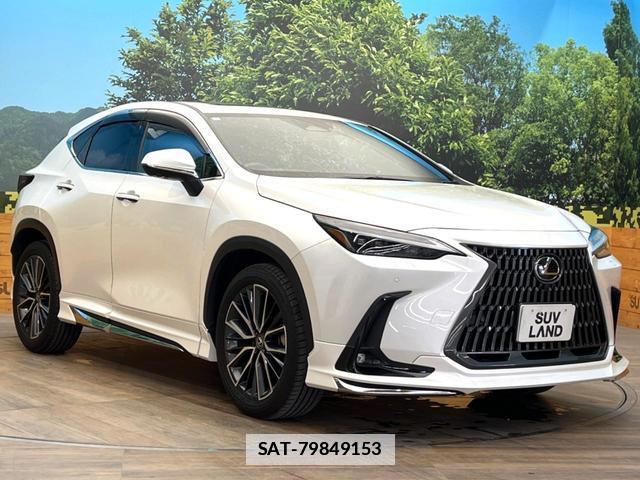 Lexus NX 2023-05 7869288-15