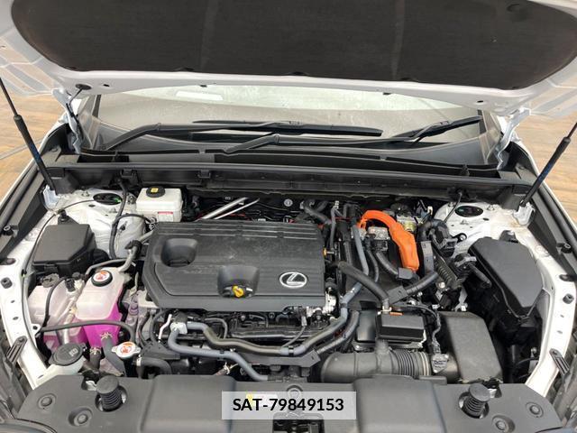Lexus NX 2023-05 7869288-17