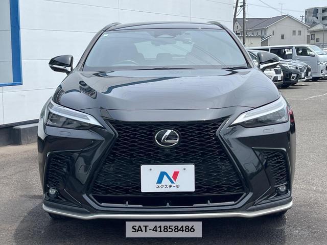 Lexus NX 2023-07 7869683-13