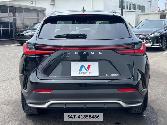 Lexus NX 2023-07 7869683-14