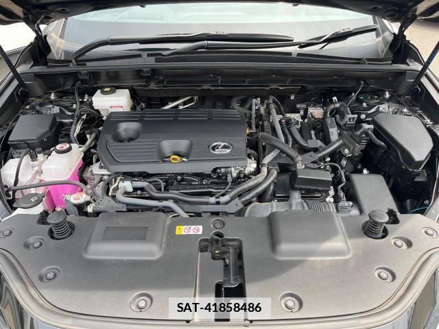 Lexus NX 2023-07 7869683-17