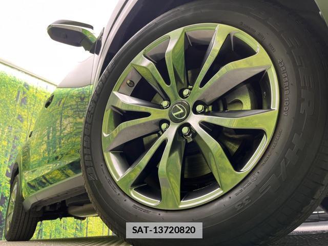 Lexus NX 2017-10 7871867-12