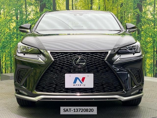 Lexus NX 2017-10 7871867-13