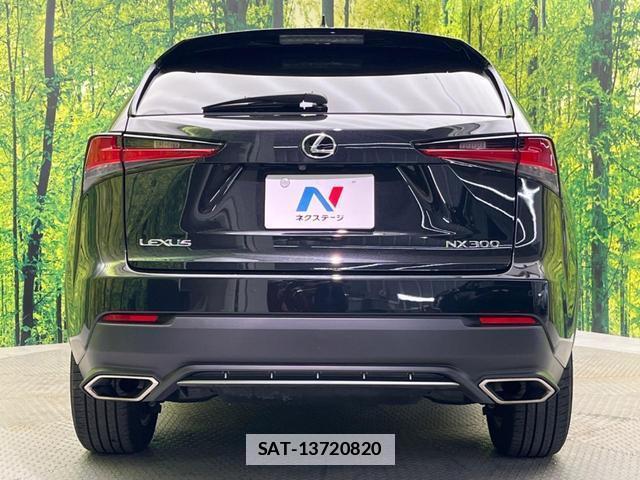 Lexus NX 2017-10 7871867-14
