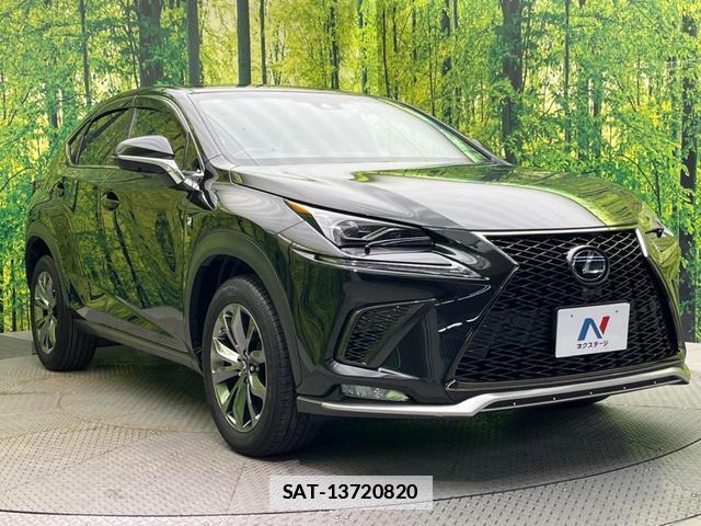 Lexus NX 2017-10 7871867-15