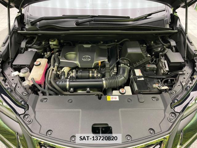 Lexus NX 2017-10 7871867-17