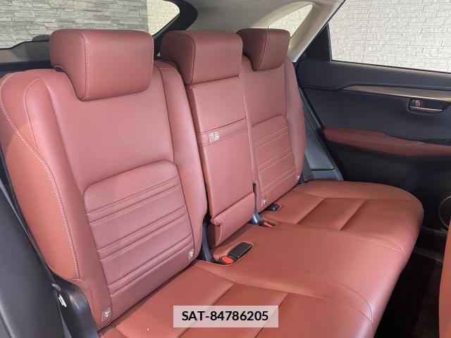 Lexus NX 2017-04 7871906-18