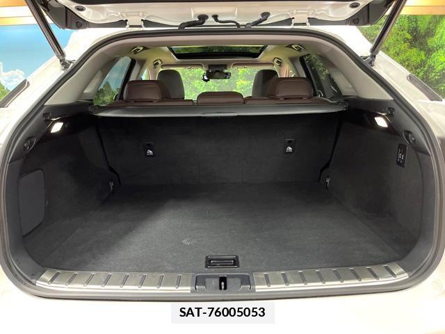 Lexus RX 2021-03 7867606-10