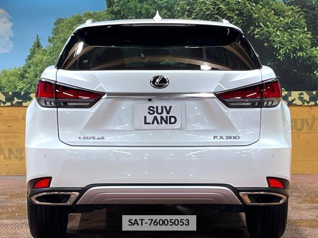Lexus RX 2021-03 7867606-15