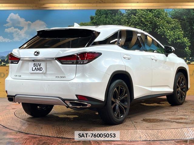 Lexus RX 2021-03 7867606-17