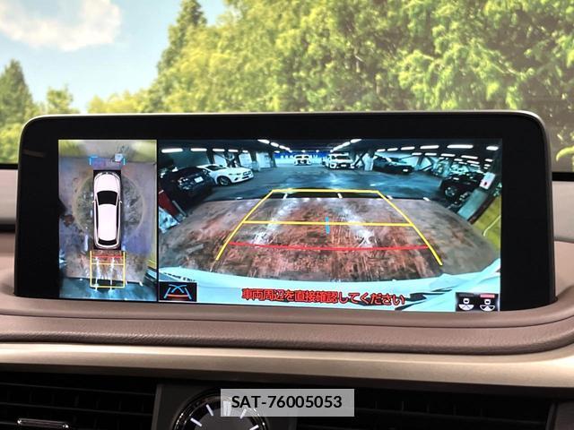 Lexus RX 2021-03 7867606-4
