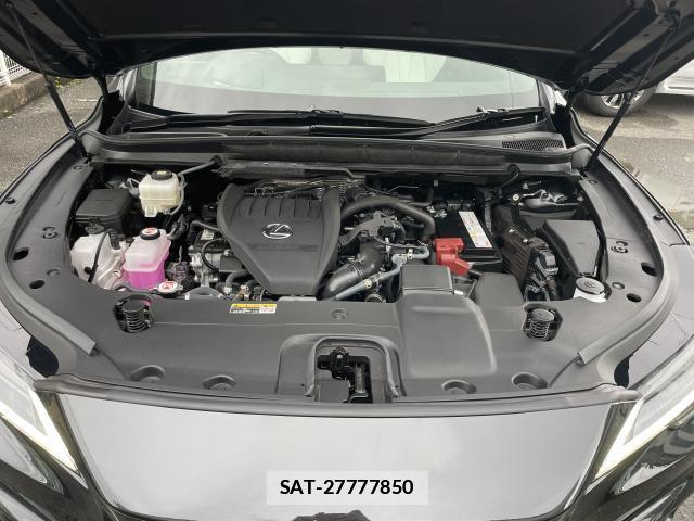 Lexus RX 2025-03 7872051-19