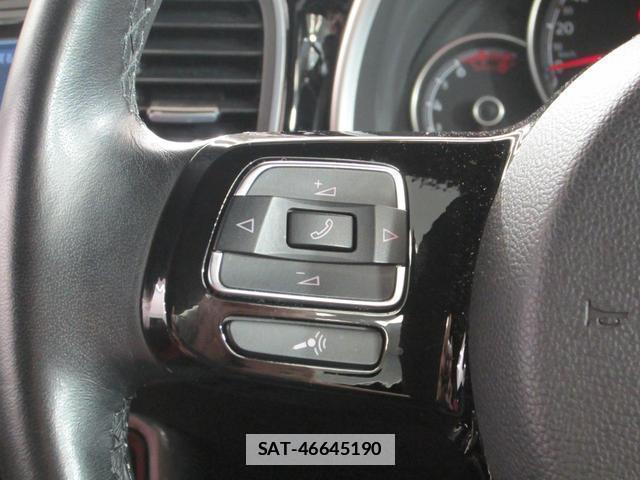 VolksWagen THE BEETLE 2020-04 7867487-7