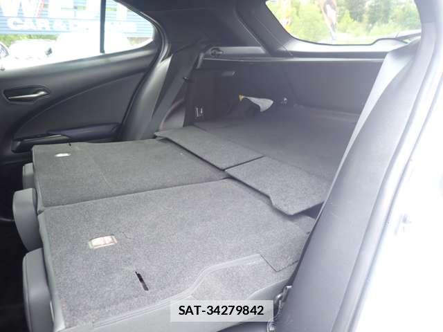 Lexus UX 2021-05 7872341-10
