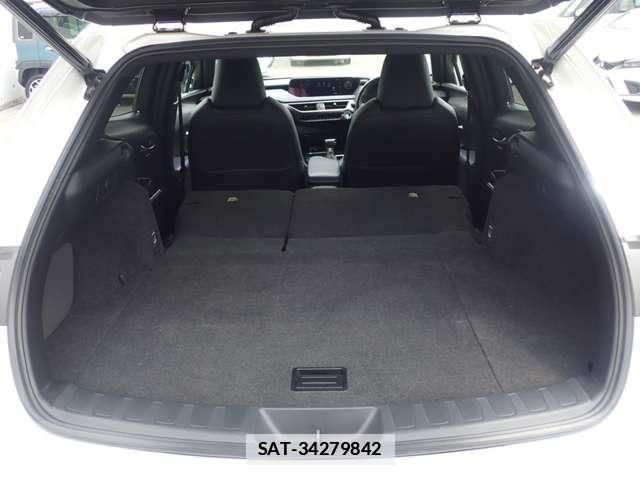Lexus UX 2021-05 7872341-14