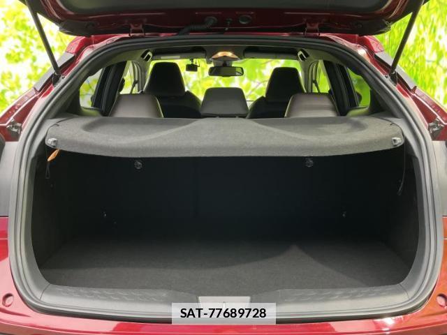 Toyota C-HR 2019-04 7917037-7