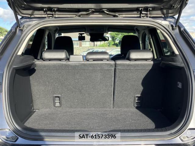 Mazda CX-3 2019-05 7916374-7