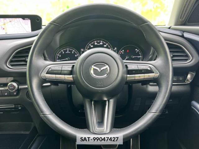 Mazda CX-30 2020-01 7916869-14