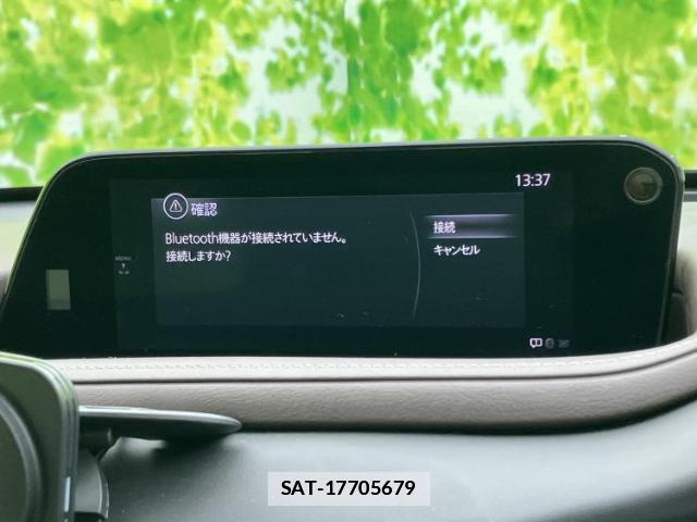 Mazda CX-30 2019-09 7917094-10