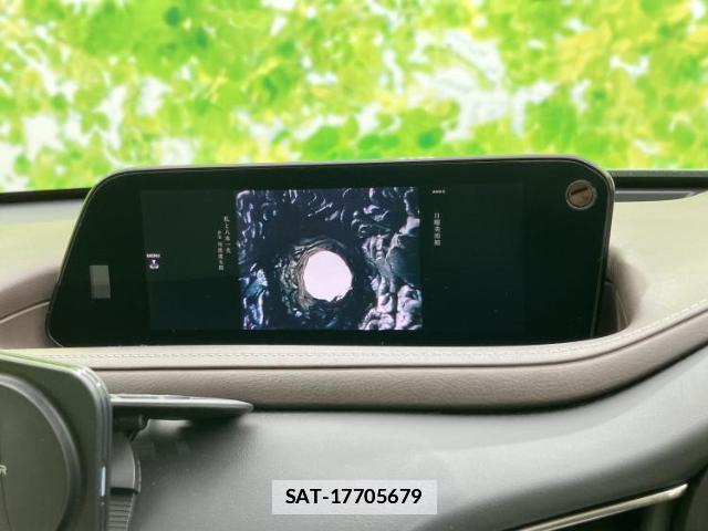 Mazda CX-30 2019-09 7917094-12
