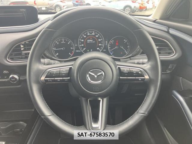Mazda CX-30 2024-08 7917163-13