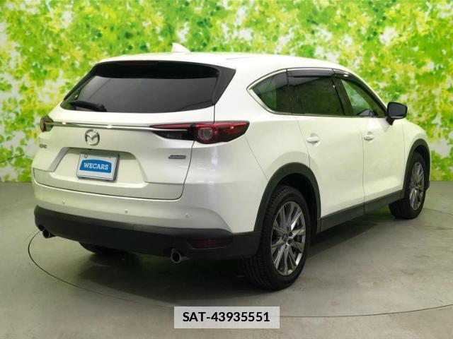 Mazda CX-8 2018-11 7916761-2