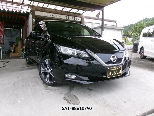 Nissan LEAF 2018-01 7912922-0