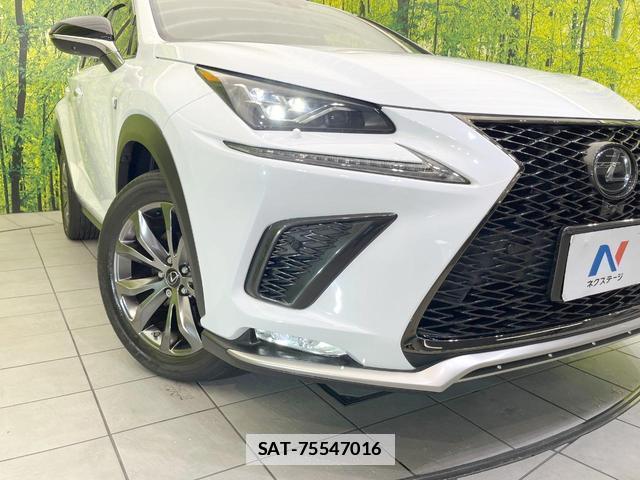 Lexus NX 2019-08 7914483-12