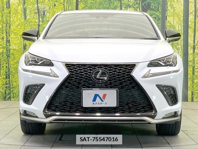 Lexus NX 2019-08 7914483-13