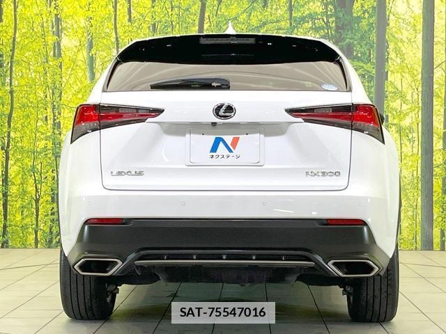 Lexus NX 2019-08 7914483-14