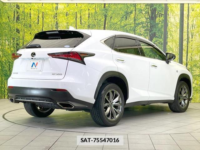 Lexus NX 2019-08 7914483-16