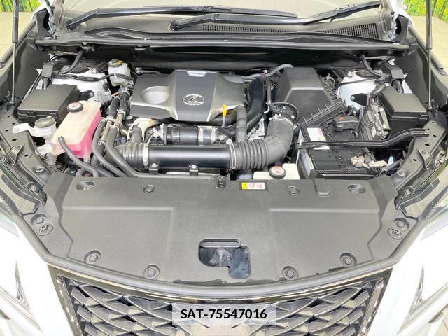 Lexus NX 2019-08 7914483-17