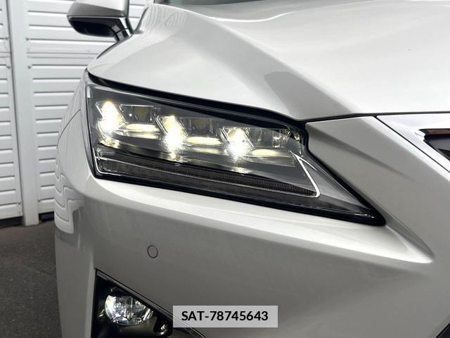 Lexus RX 2017-04 7914315-15