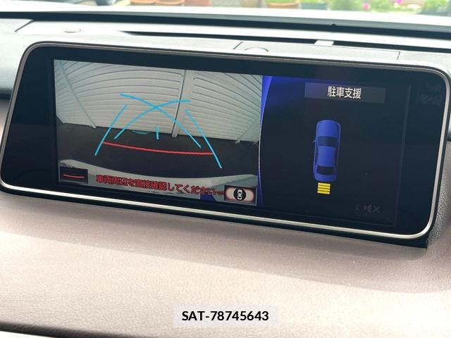 Lexus RX 2017-04 7914315-3