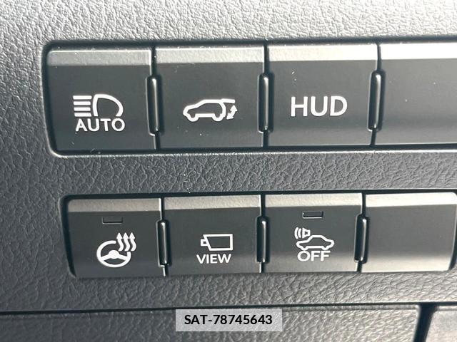 Lexus RX 2017-04 7914315-6