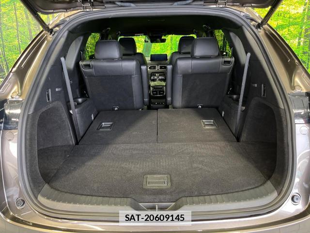Mazda CX-8 2023-10 7934196-10