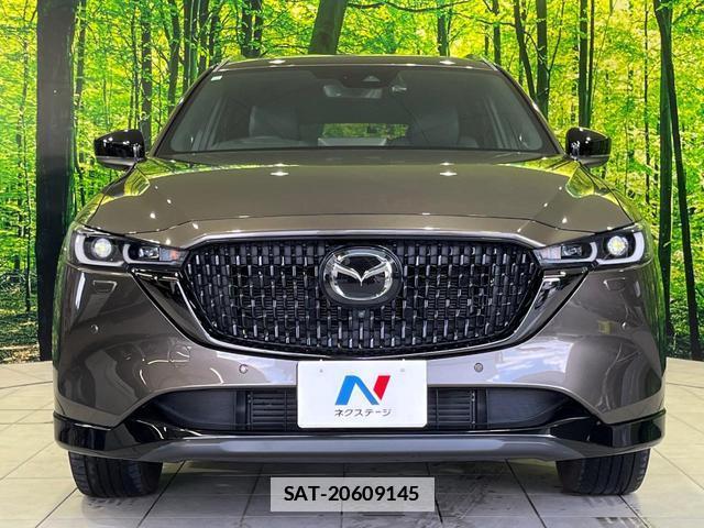 Mazda CX-8 2023-10 7934196-14