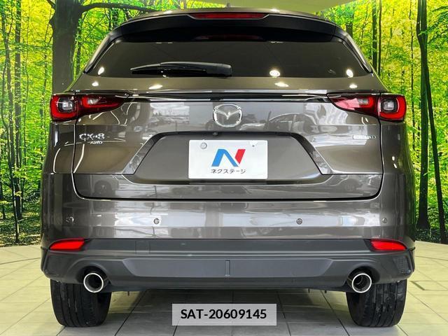Mazda CX-8 2023-10 7934196-15