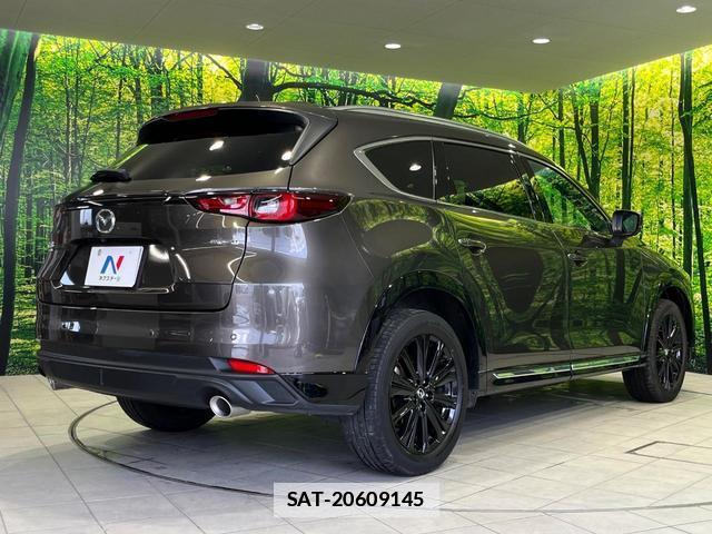 Mazda CX-8 2023-10 7934196-17