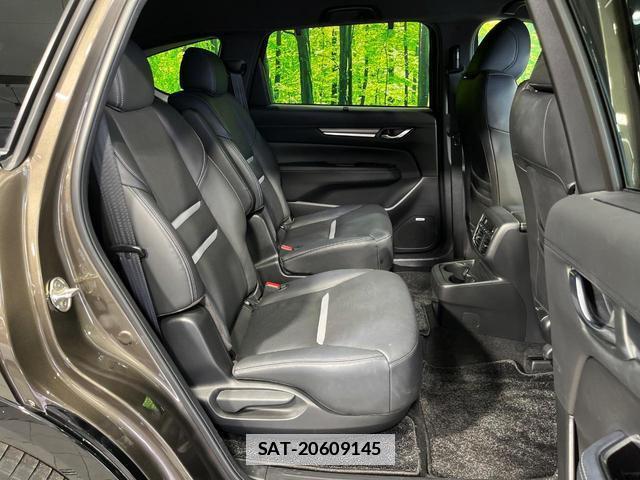 Mazda CX-8 2023-10 7934196-8