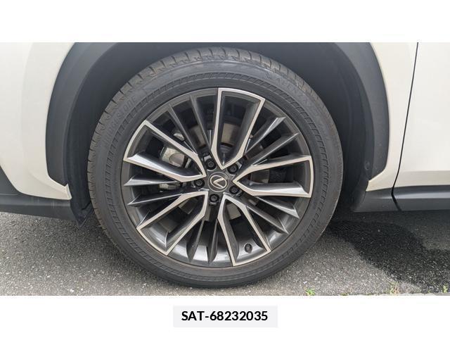 Lexus NX 2024-09 7935579-12