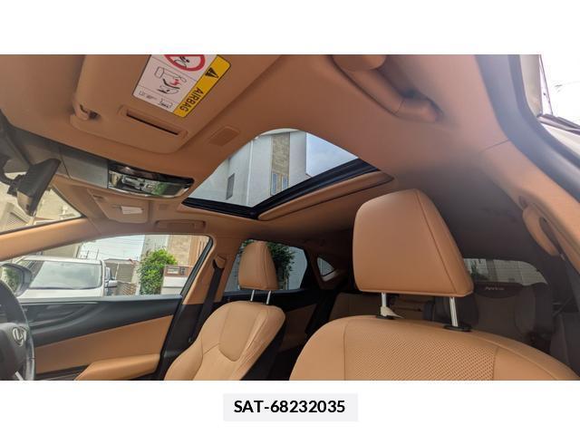 Lexus NX 2024-09 7935579-5