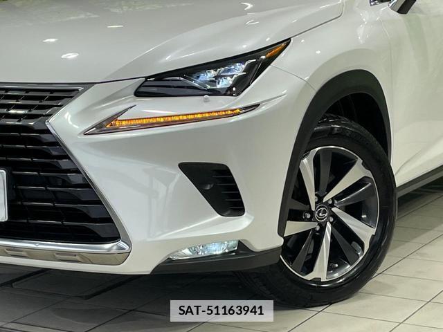 Lexus NX 2018-01 7935941-11