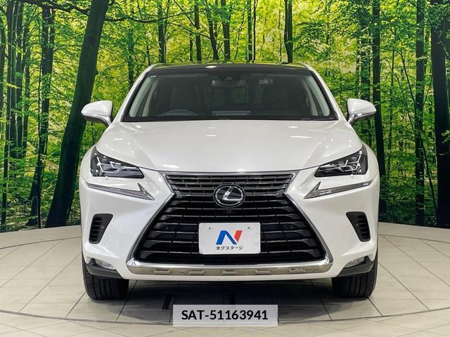 Lexus NX 2018-01 7935941-13