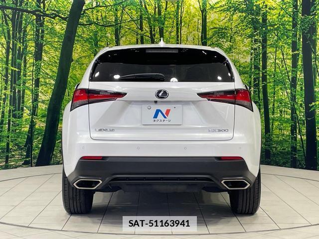 Lexus NX 2018-01 7935941-14