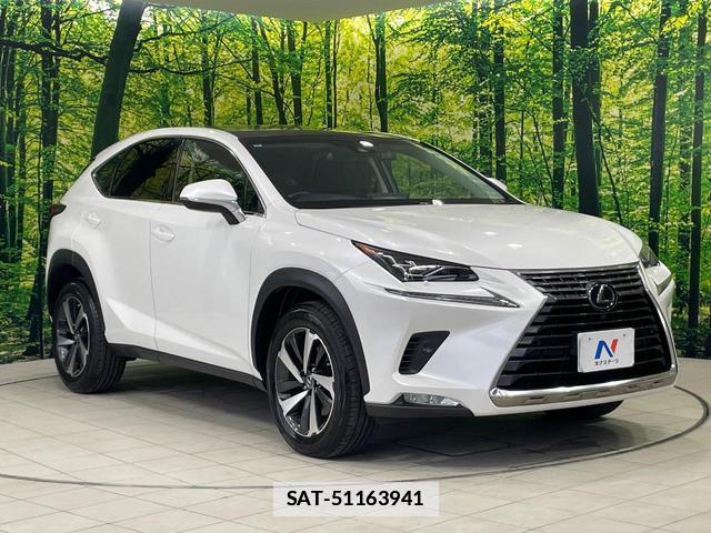 Lexus NX 2018-01 7935941-15