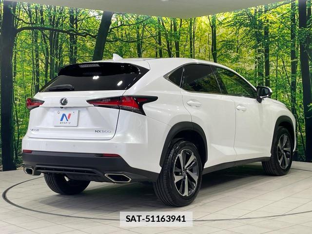 Lexus NX 2018-01 7935941-16
